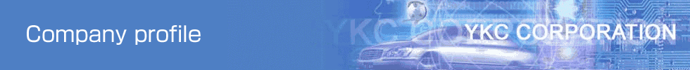Company profile